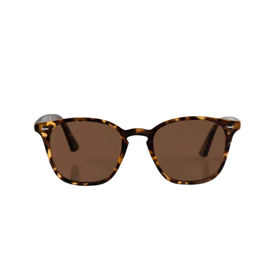 Chelsea Sunglasses Tortoise