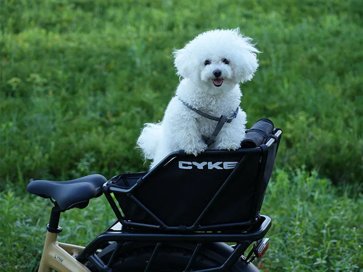 CYKE Rear Rack Basket for Electric Bike