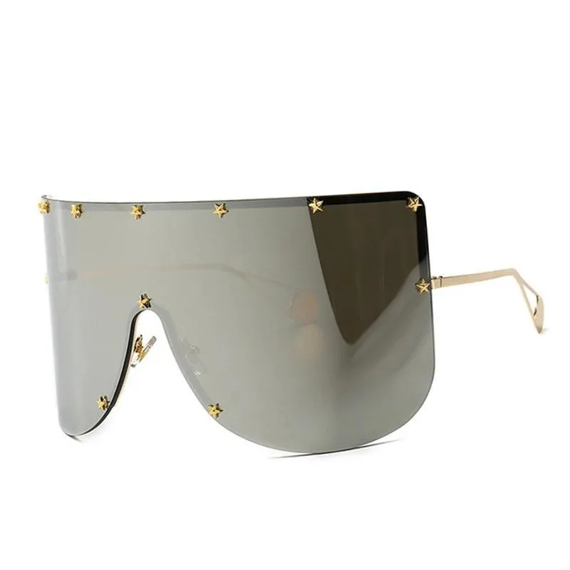 Elaiza Oversized Sunglasses - Silver Mirror