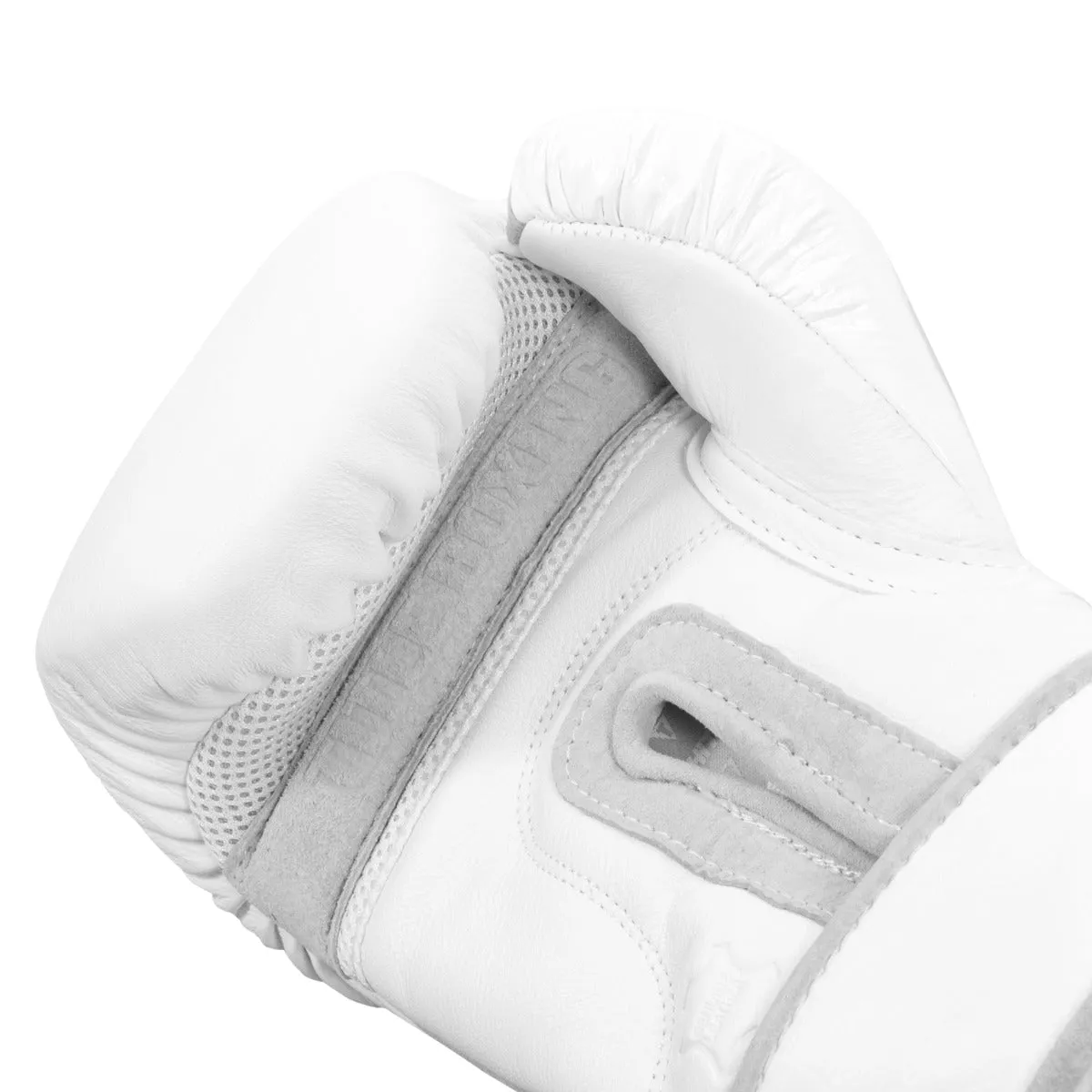 TITLE White Boxing Training Gloves 2.0